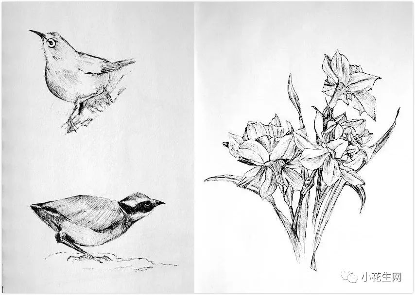 从零开始学绘画简单入门教程,从零开始学绘画必备的画