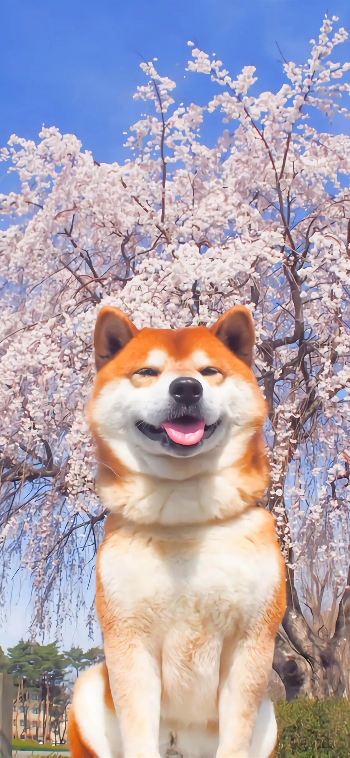 壁纸不管你做什么都要做到极致,不做别人公主只做自己的女王壁纸