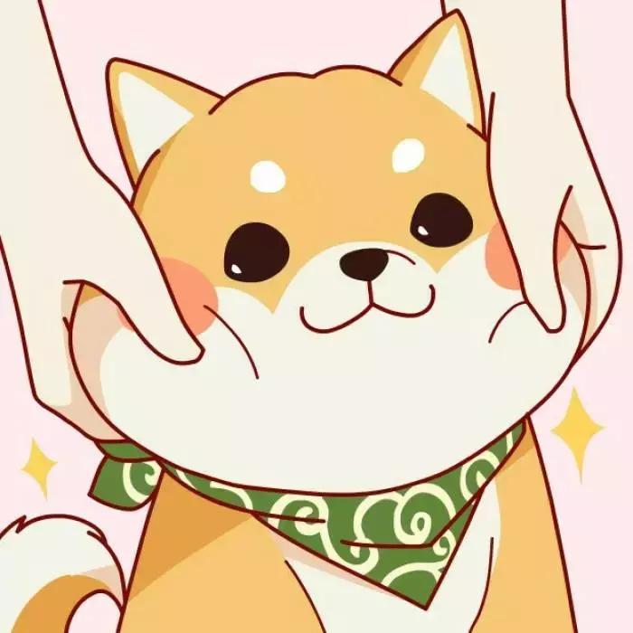 男子花4000块买柯基犬,小伙花12000买柯基犬