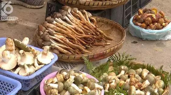 这就是冠军王坚,这就是冠军气场