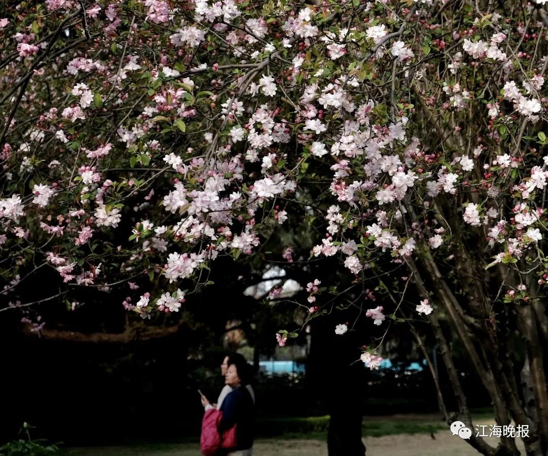 南通已经入春了吗,今年南通什么时候入春