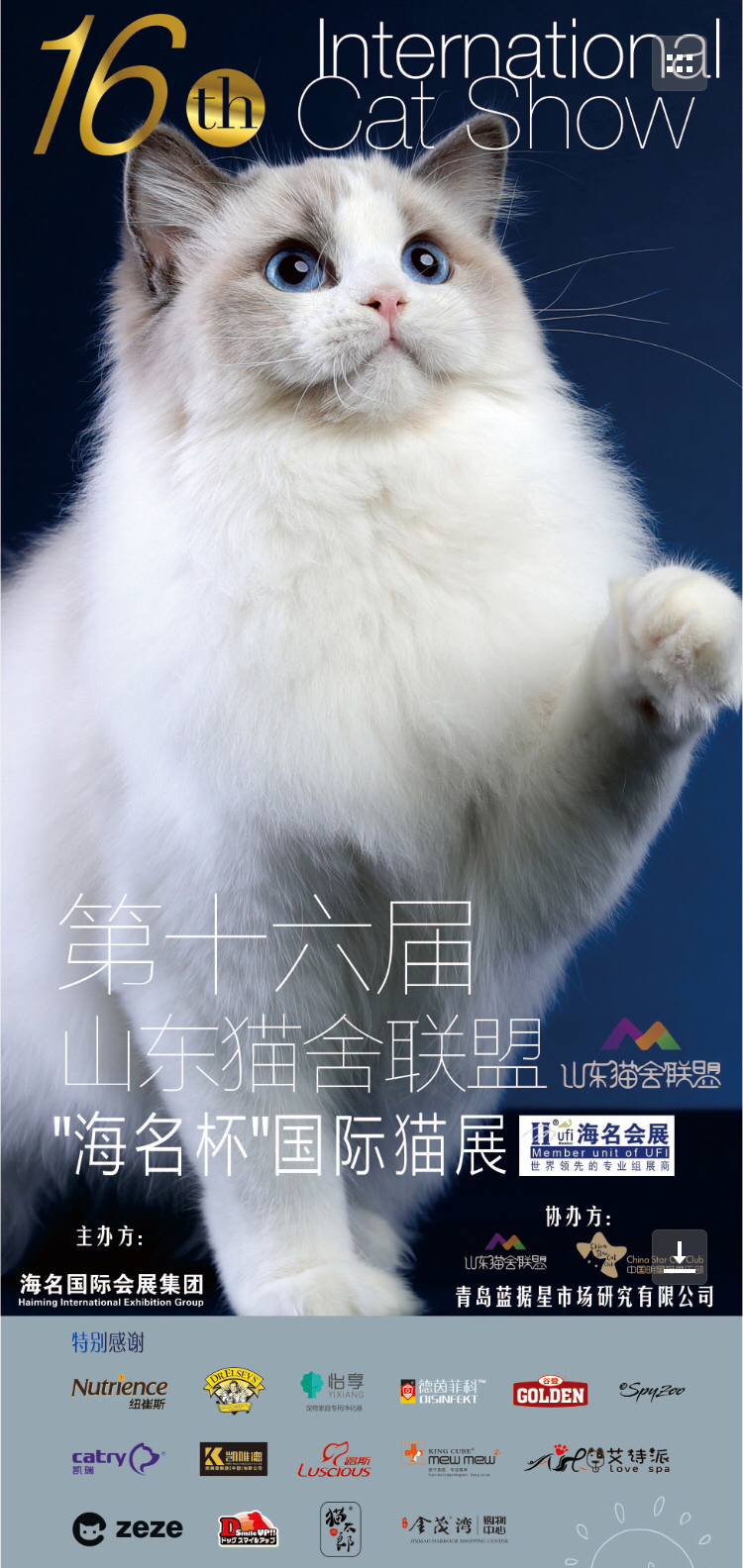 最好看的猫爪杯,猫爪杯好抽吗