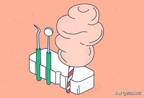 15条有趣的历史冷知识,科普电动牙刷冷知识