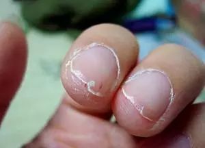 春天睡前吃什么汤养肝护肝,春天调理肝喝什么炖汤