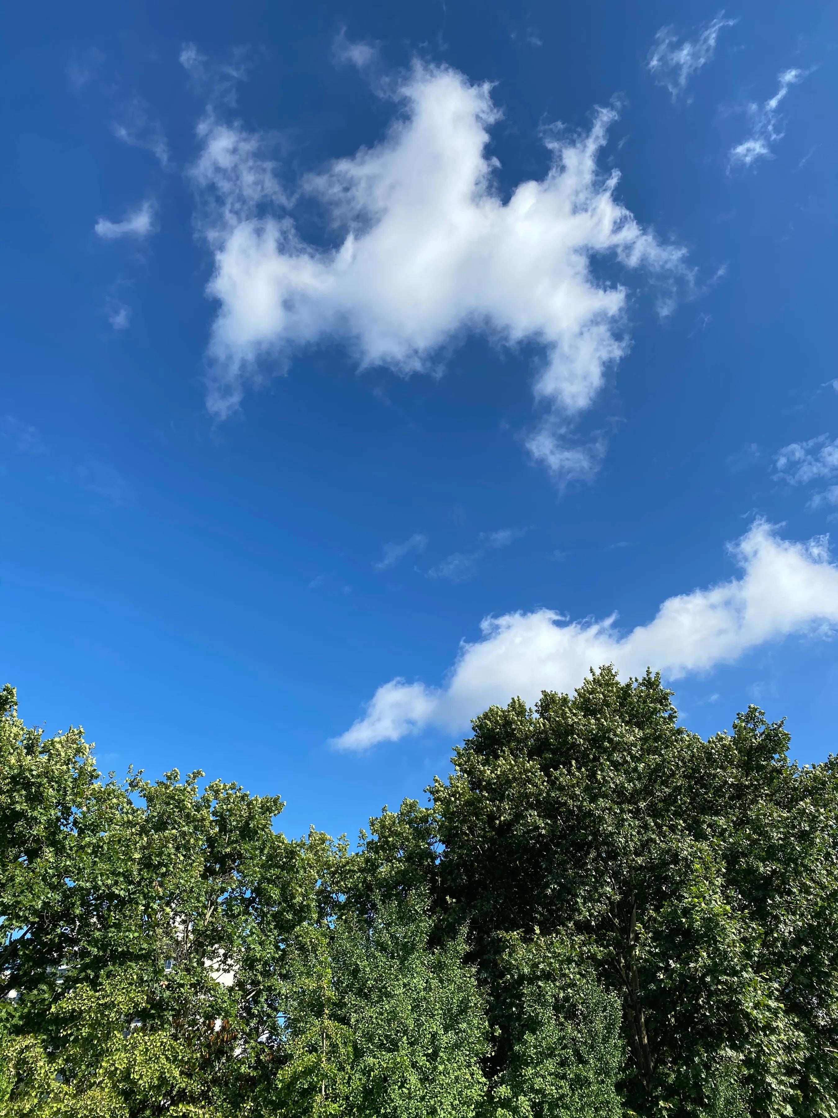 如果一个人心情很烦怎么办,心情郁闷如何释放自己