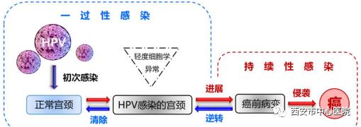 三八妇女节宫颈癌筛查太谷,38妇女节宫颈癌检查有优惠吗