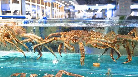 美食探店4人海鲜,美食探店大超市