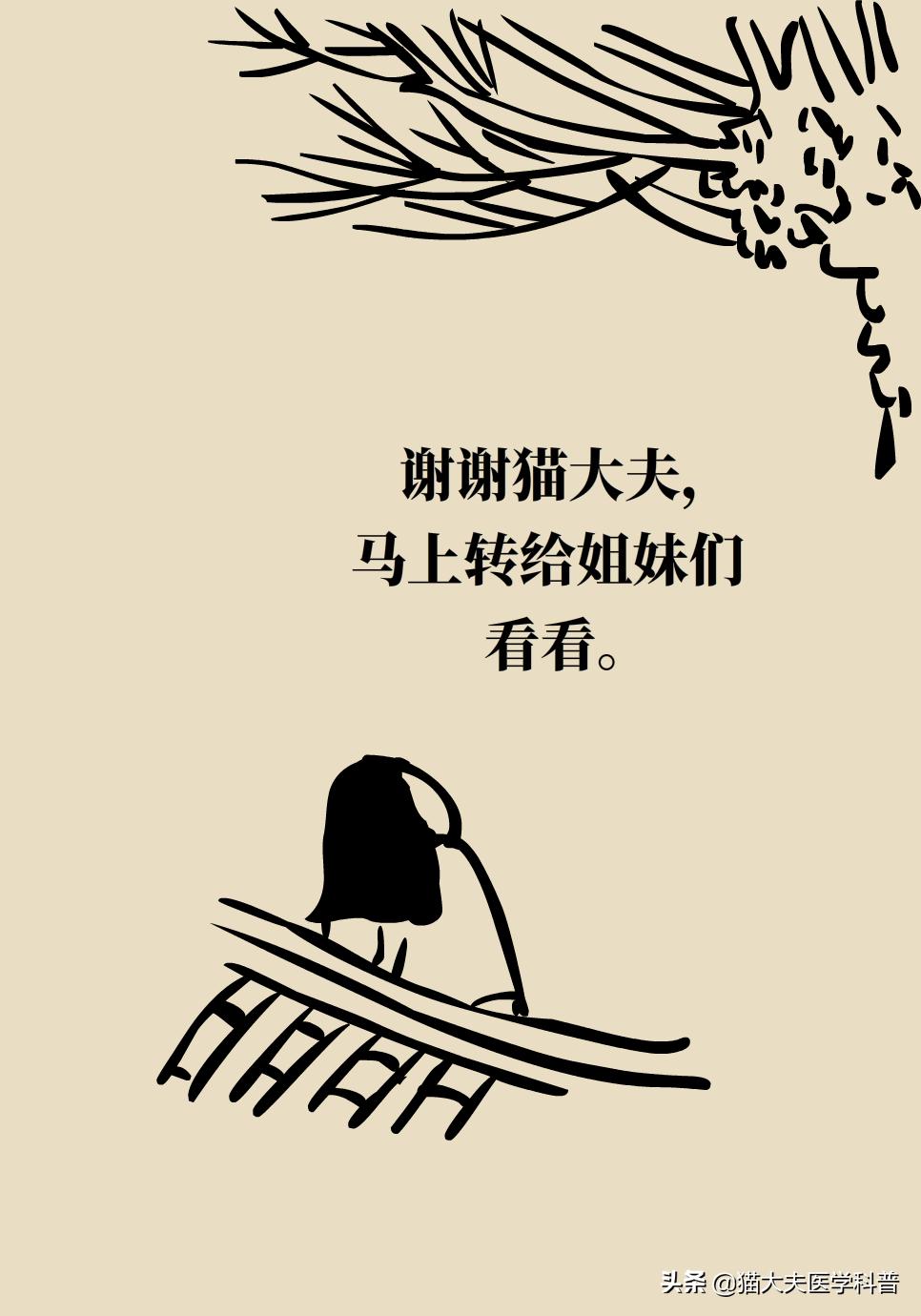 男人到中年头发越来越少怎么补救,头发少怎么办教你一招搞定