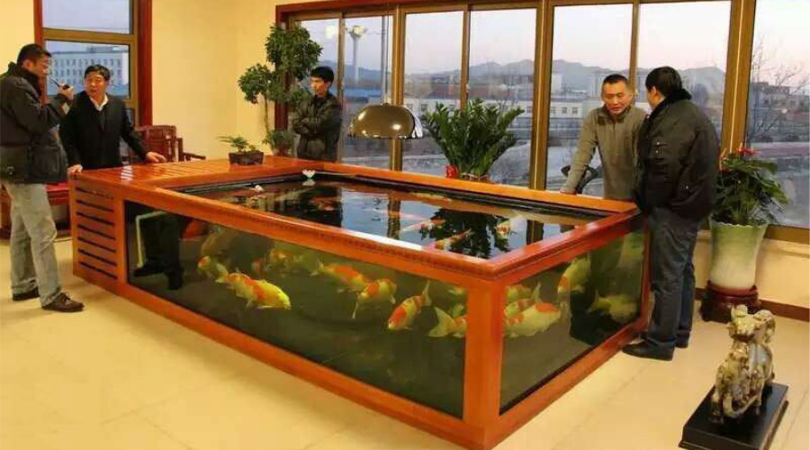 如何选择锦鲤过滤材料,如何选择锦鲤鱼粮大小