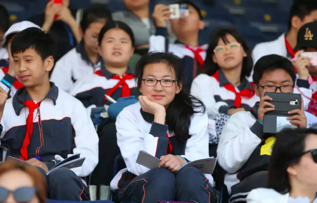 精彩马术英姿飒爽,盘点马术比赛中的精彩瞬间