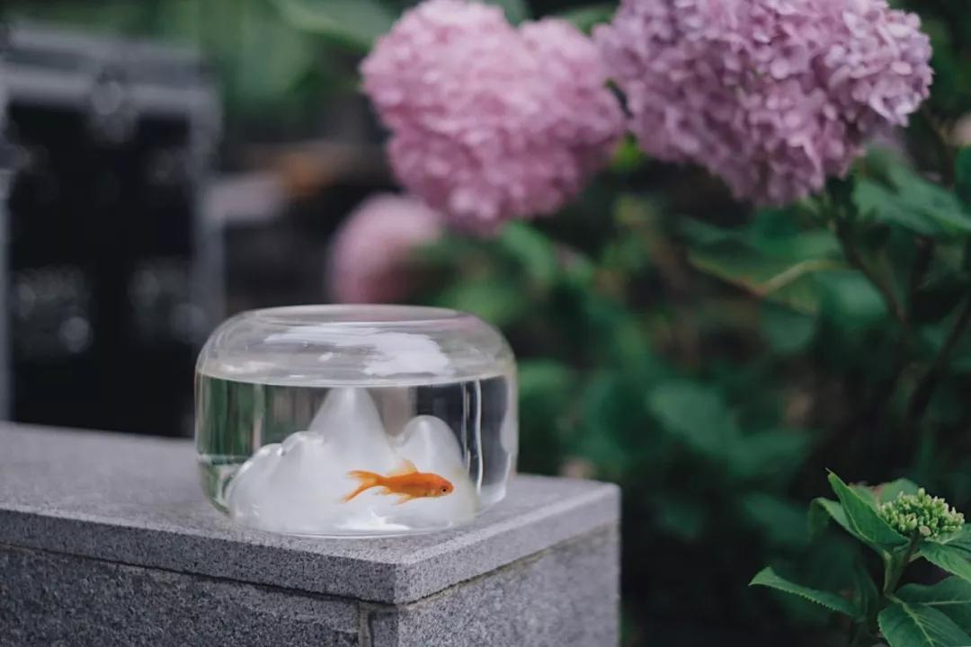 青城山别有洞天山居民宿,青城山肆禧山外民宿海拔