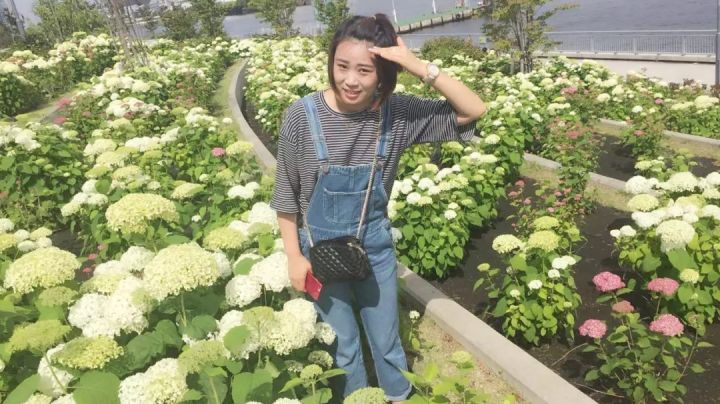 从零开始学日本留学利与弊,第一次来日本留学最真实的感受