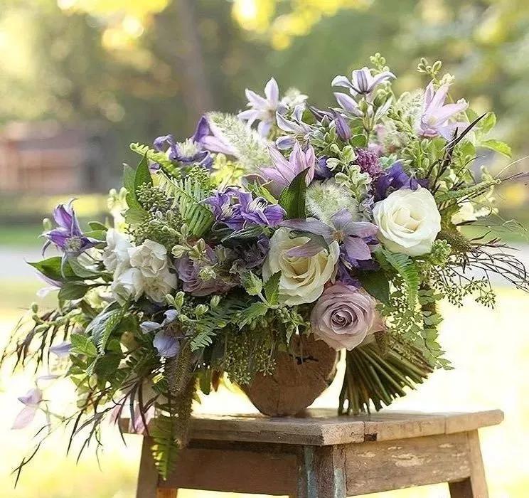 花材不剪枝如何养护,花材不用换水养护方法大全