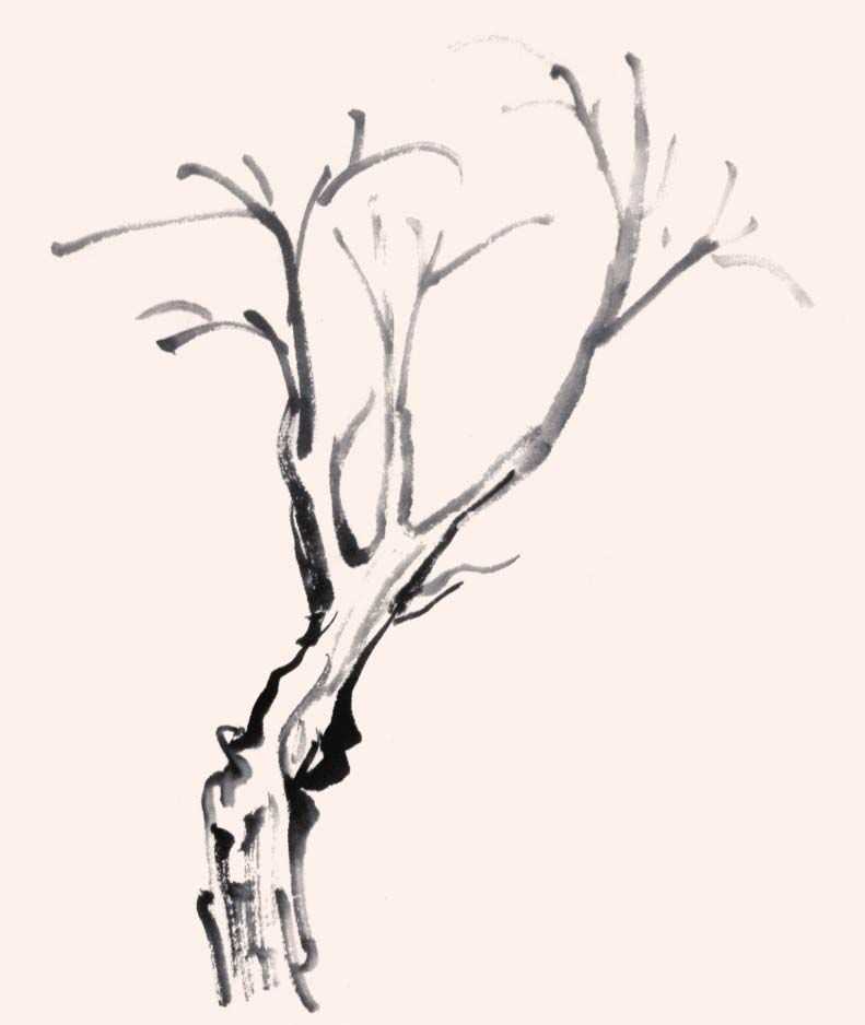 国画画树时的使转用笔方法,国画教程画树入门