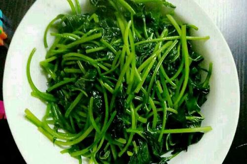 暑假之乐,暑假之趣600字