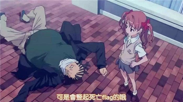 用百合花帮爱猫发情?母猫却因此出现肾衰竭,需知此为“毒花”