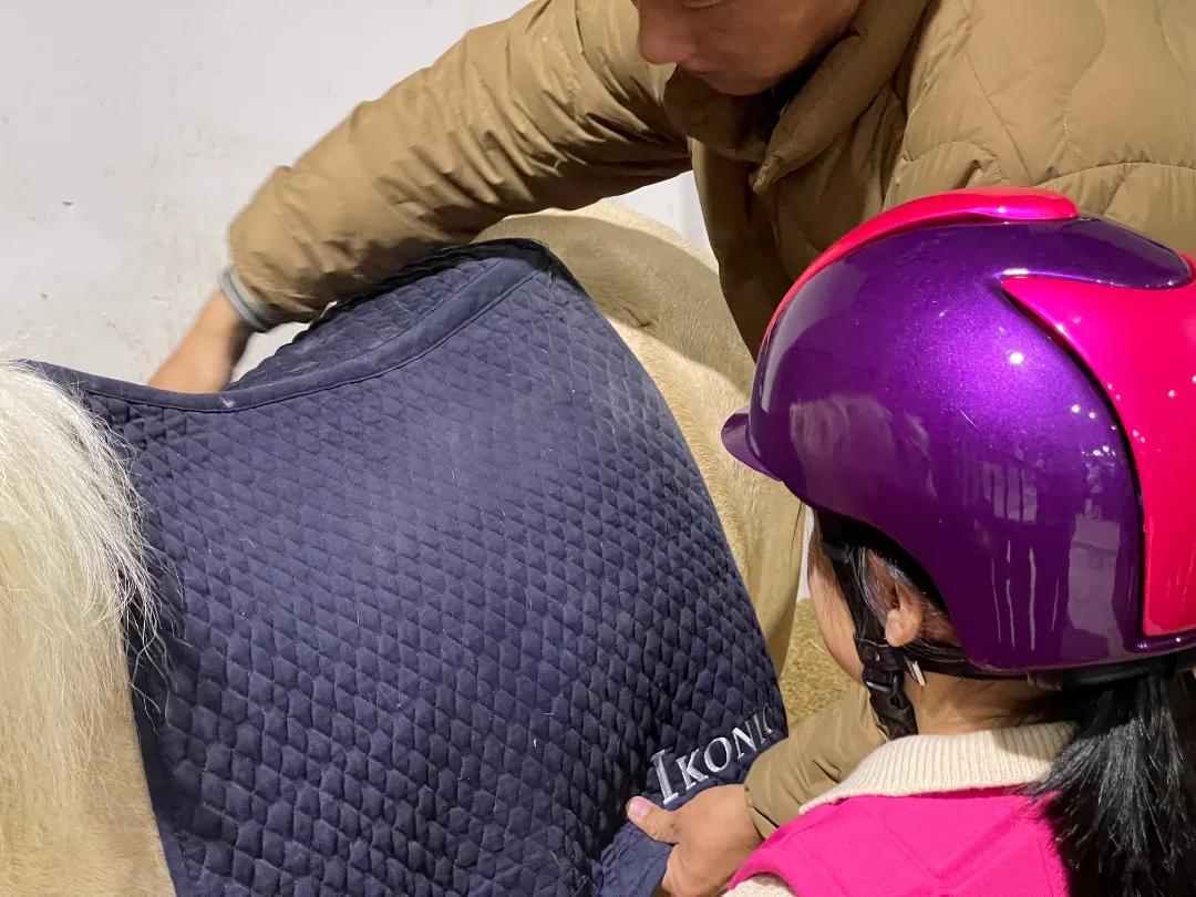 徐州英骐国际马术,徐州英琪国际马术中心