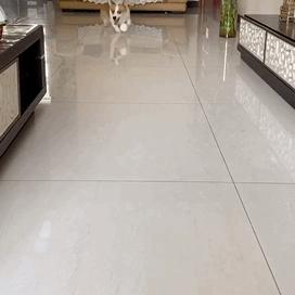 梅雨天气养狗怎样预防,梅雨季节养狗应该注意什么