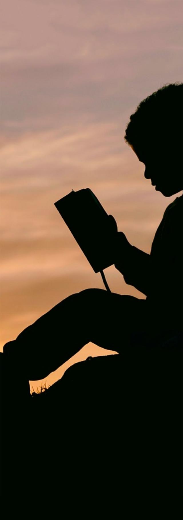 如何运营淘宝小红书,怎么做公众号书