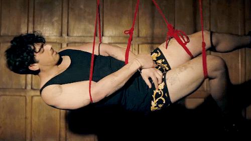 赛琳娜戈麦斯和麦莉赛勒斯,麦莉赛勒斯赛琳娜戈麦斯