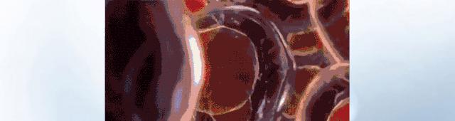 新型军用保暖衣,国产最强保暖衣