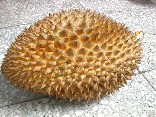 榴莲肉不熟怎么处理能好吃,榴莲肉硬不甜怎么补救