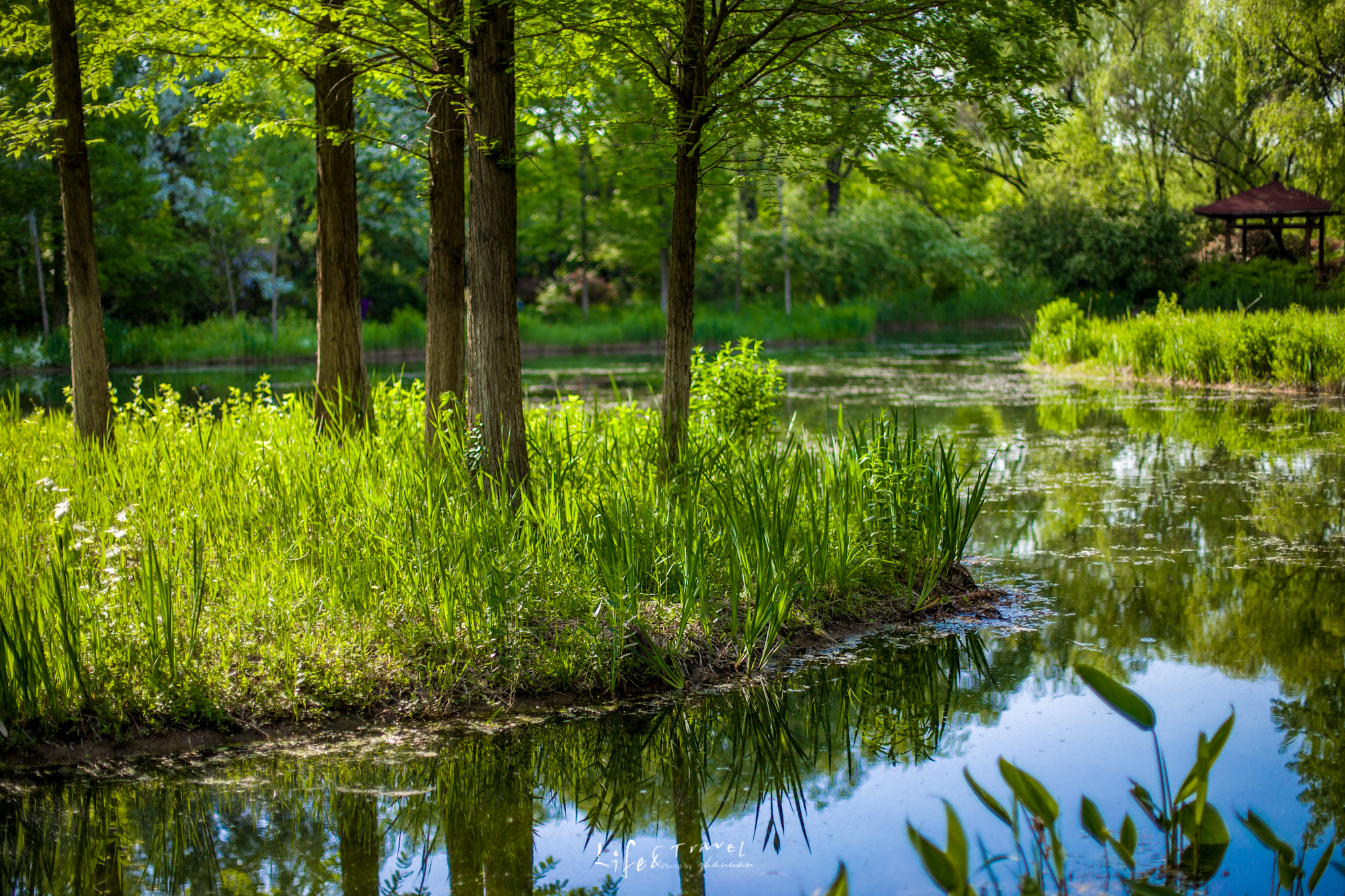 济南适合去的花海公园,济南春季公园有哪些景点