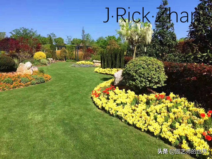 果岭草坪的种植养护方法及技巧,怎么种植一个可以躺的草坪