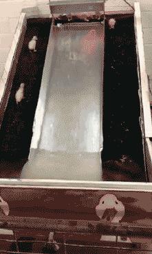 空中一字马搞笑图,一个突如其来的一字马