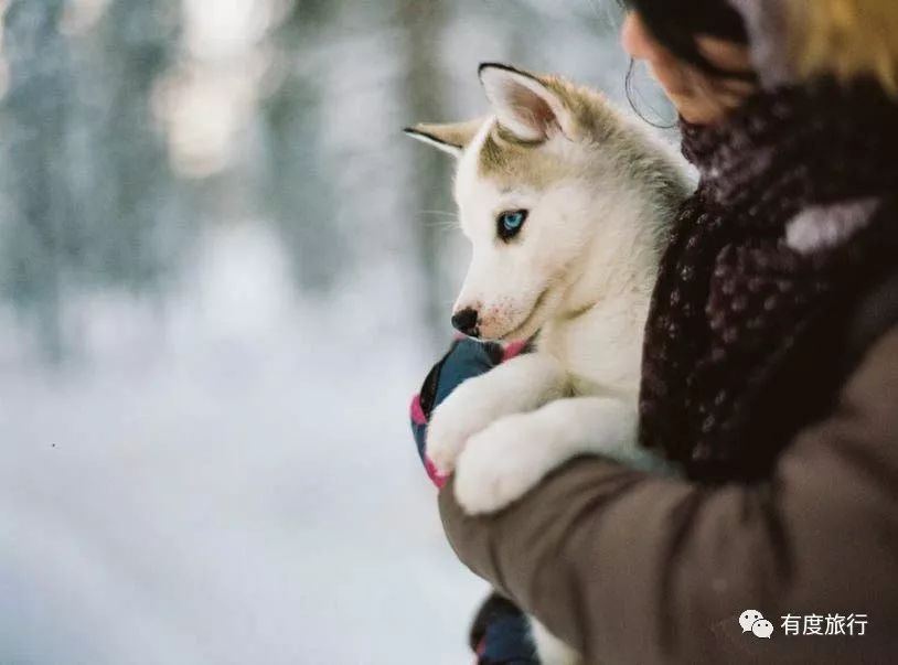 格陵兰|人间最后的纯净之地——格陵兰岛之行前必读