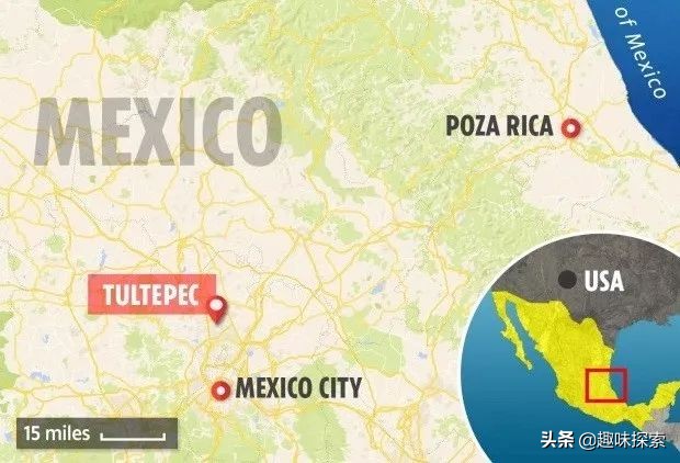 猛犸象灭绝时间之谜,神秘消失猛犸象的灭亡之谜