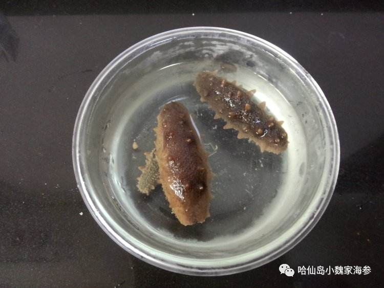 煮过海参比较浓的汤能喝吗,泡发过海参的水能喝吗