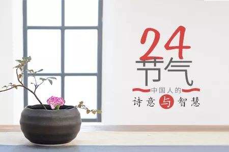二十四节气的每个节气的详解,二十四节气每个节气的解说