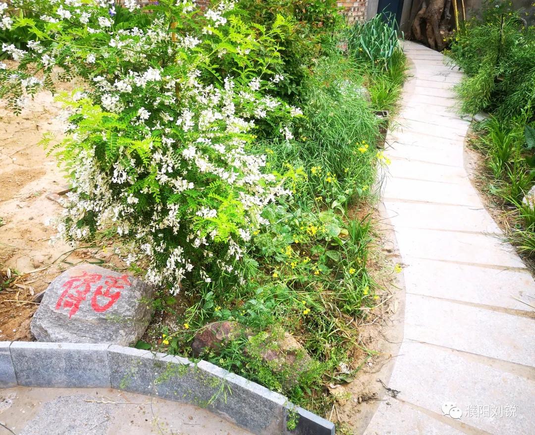 瓒ｈ鏋楀啿,瓒ｈ娑炴簮