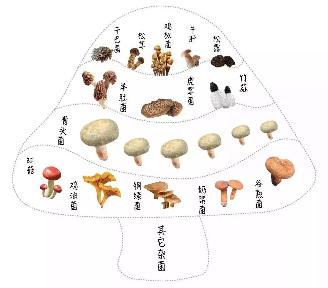 厦门藏在绿野仙踪里的花园餐厅,厦门藏很深的西餐厅