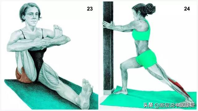 肌肉拉伸组图,最全的16种肌肉拉伸动作