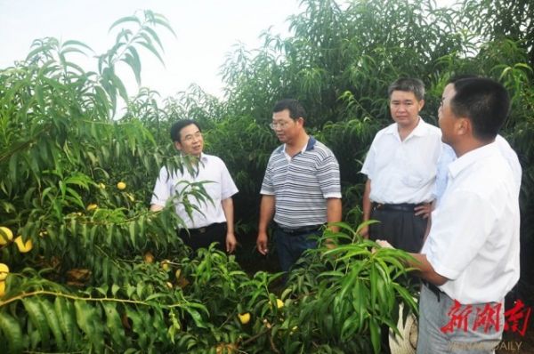 待到山花烂漫时革命英烈,待到山花烂漫时乡村振兴