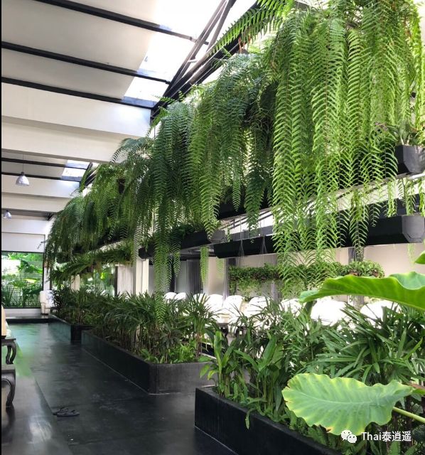 普吉岛spa预订,普吉岛spa是全国连锁吗