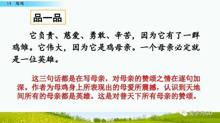 部编版四年级下册15课白鹅解析,部编版四下语文第13课母鸡预习