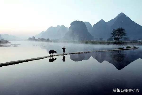 寓言故事大全关于狼的故事,家狗和狼的寓言故事