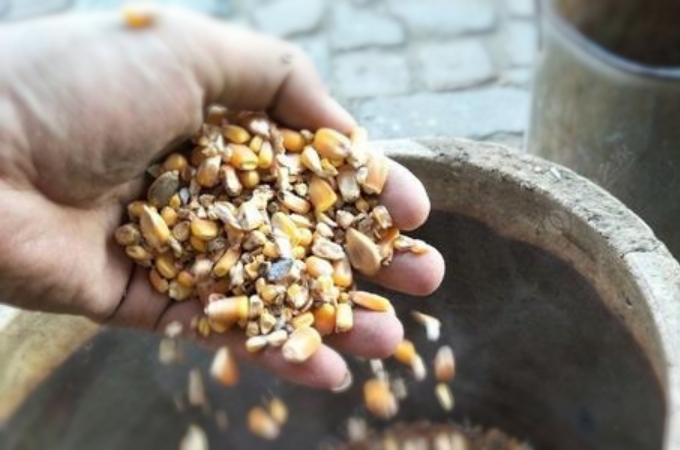 钓鳊鱼要注意这个细节,一本正经的告诉你一个道理