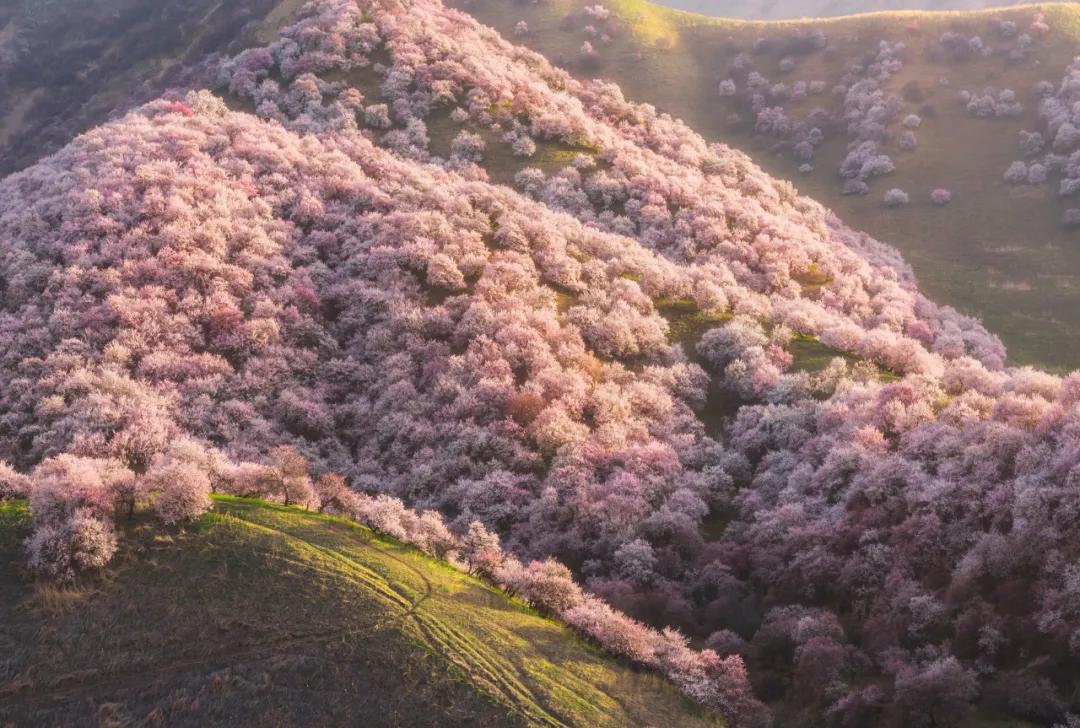 hm耐克阿迪,hm耐克优衣库阿迪达斯