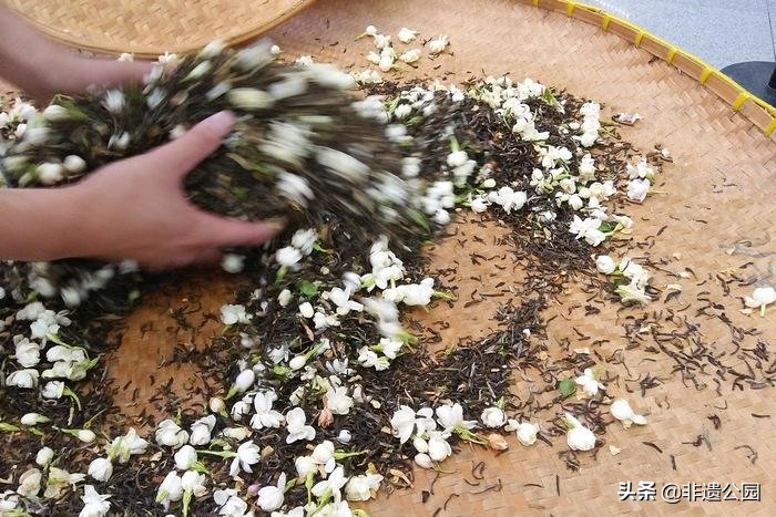 福州茉莉花茶窨制时间多久,福州茉莉花茶多少度水合适