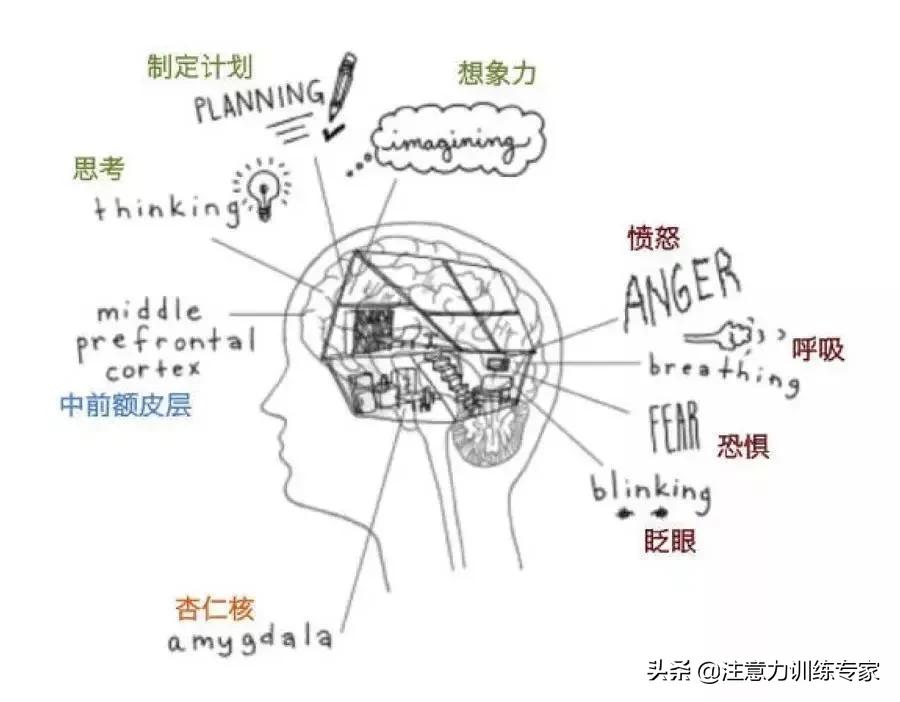 小学孩子作业拖拉如何纠正,怎样纠正孩子做作业拖拉的习惯