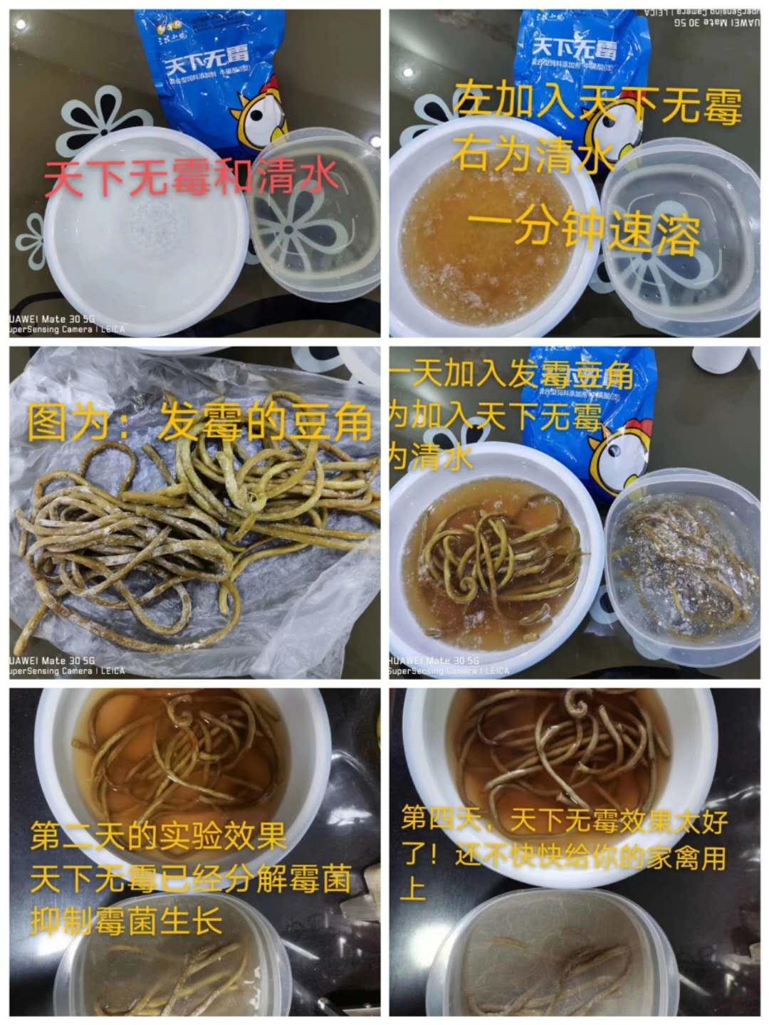 养殖场霉菌疾病,养殖霉菌前景如何