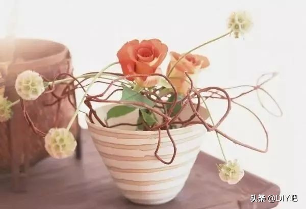 插花的13个基本技巧,插花技术技巧