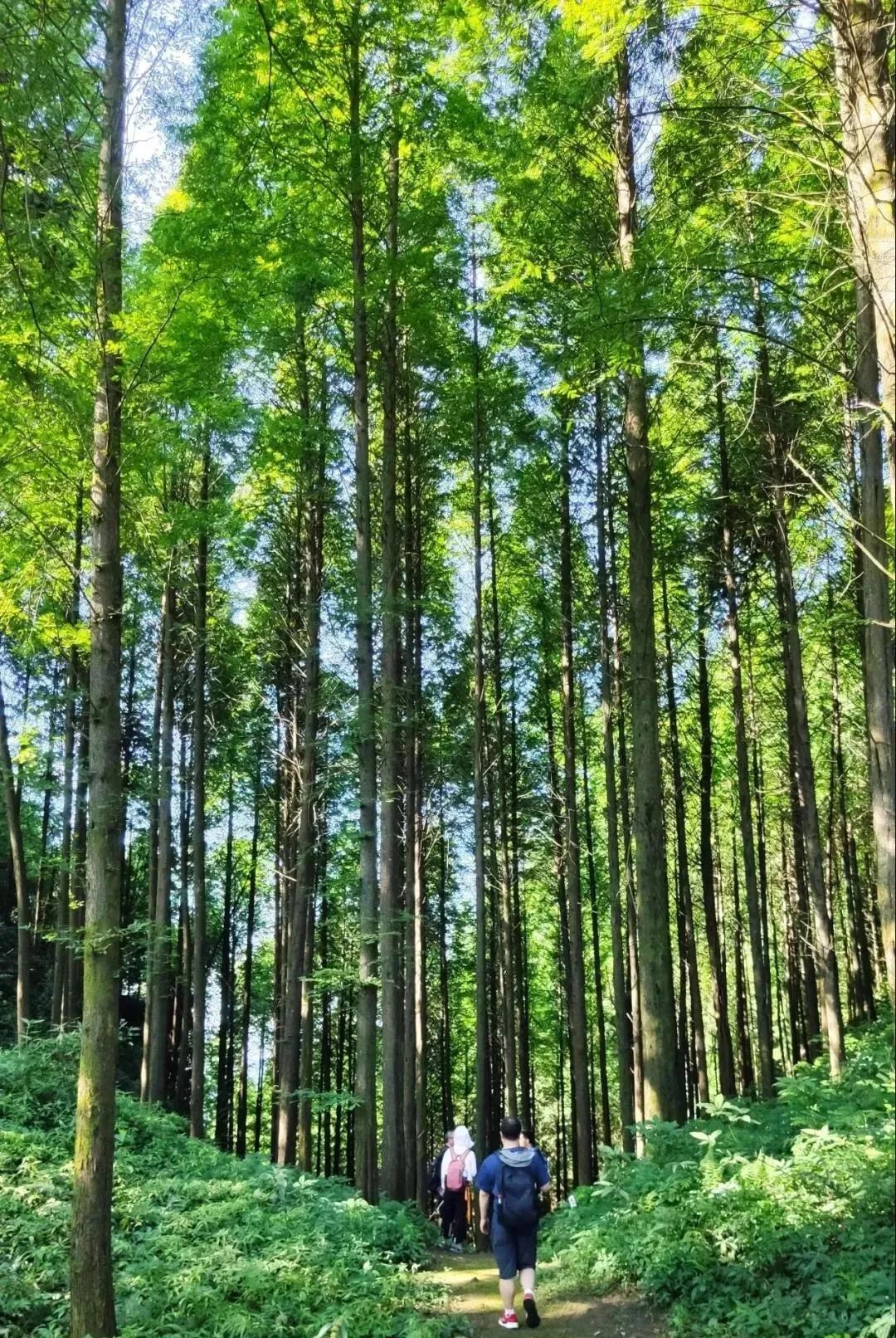 国庆成都周边旅游攻略推荐,成都周边旅游国庆2-3天推荐地方