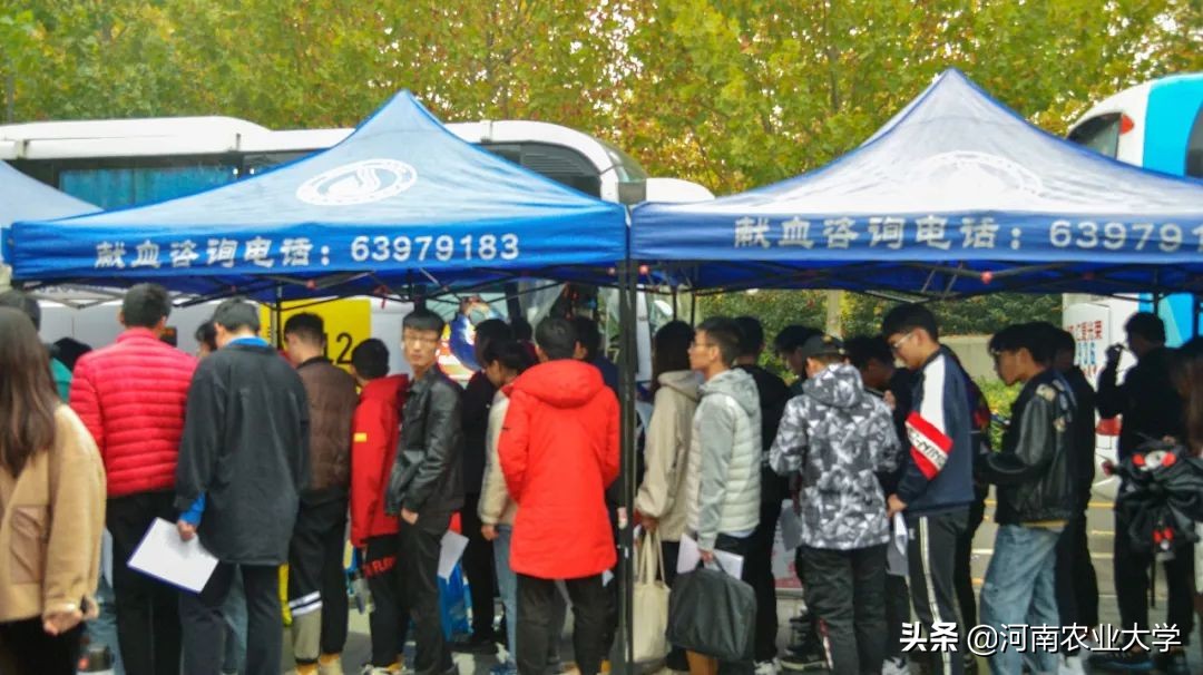 大爱丨228150毫升！农大人的热血让这个冬日温暖如春