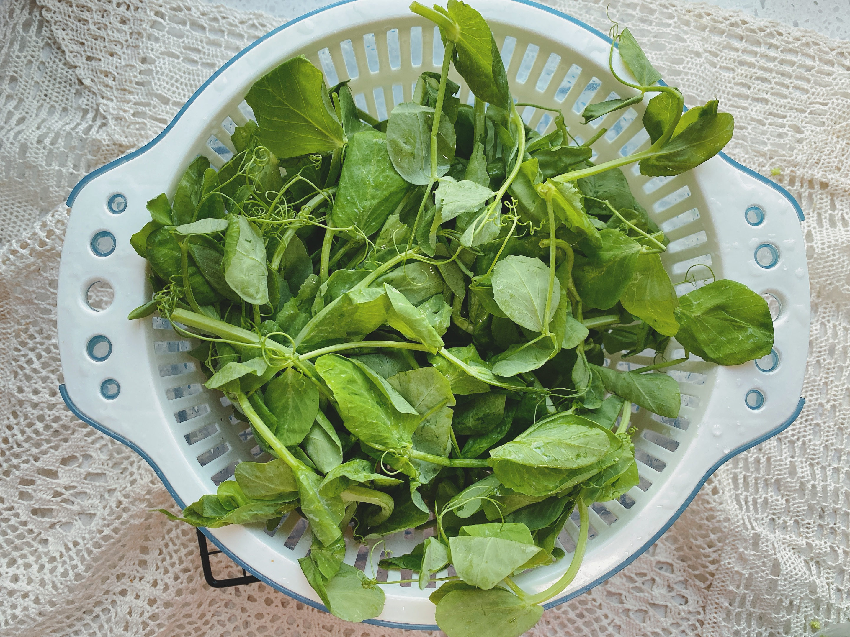 清明节要吃青团,清明节除了吃青团还要吃什么