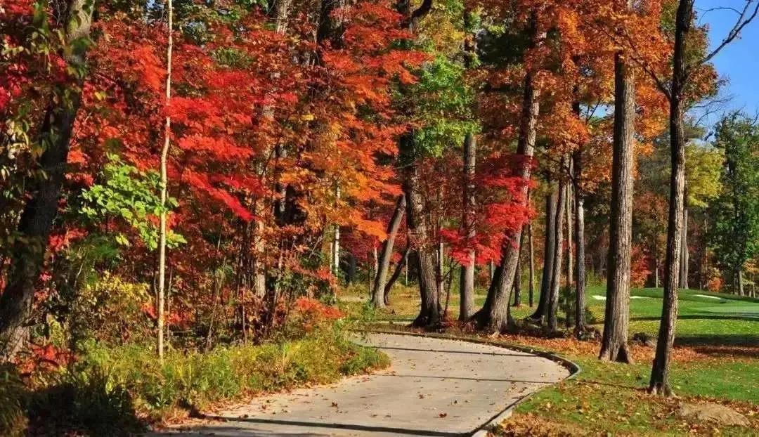 旅游景点畅玩团购,景点游玩优惠团购